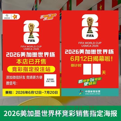 2026世界杯投注全攻略与策略深度解析