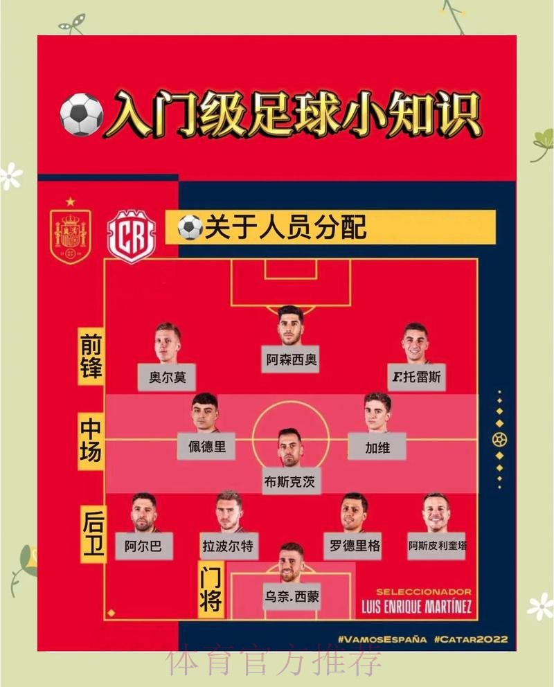 世界杯投注全站指南与深度解读